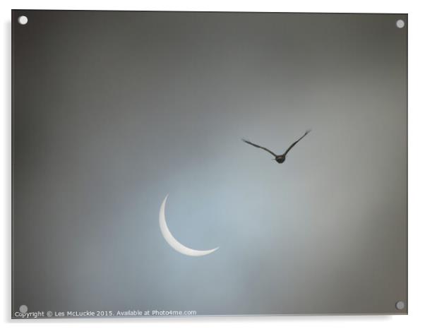 Eclipse takes wing Acrylic by Les McLuckie