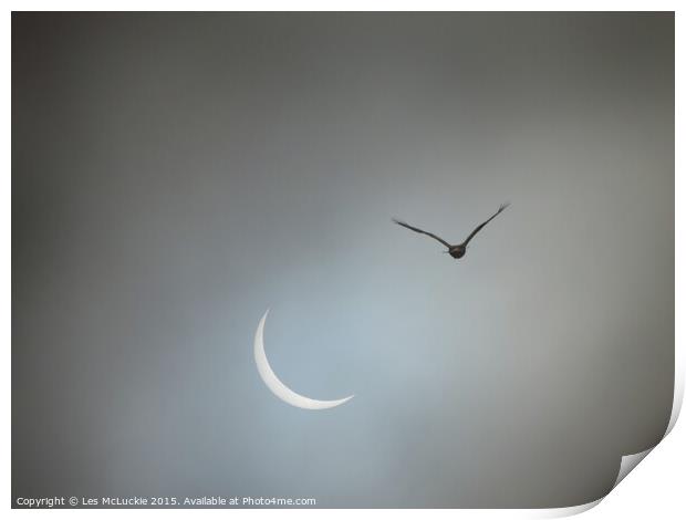 Eclipse takes wing Print by Les McLuckie