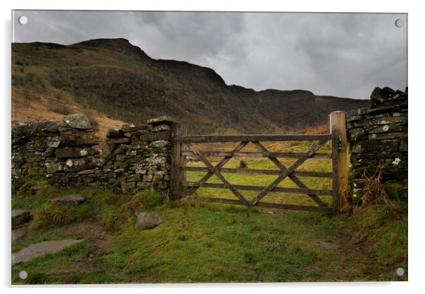 The gateway to Craig Cerrig-gleisiad Acrylic by Leighton Collins