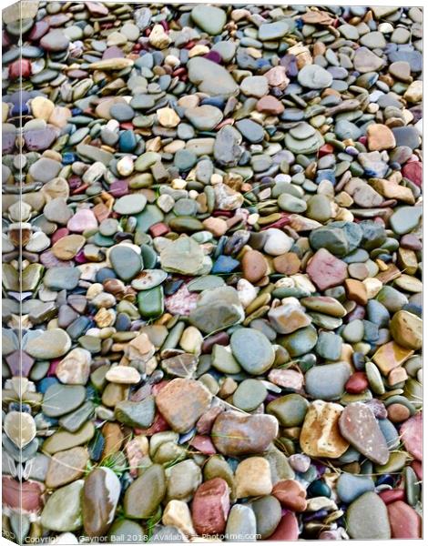 Pebble pattern Canvas Print by Gaynor Ball