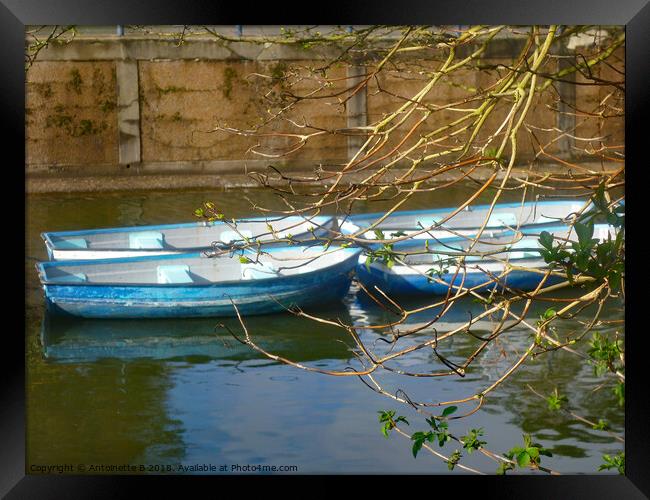 Little blue boats on the canal Framed Print by Antoinette B