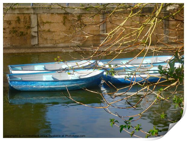 Little blue boats on the canal Print by Antoinette B
