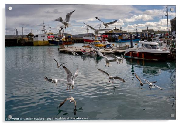 Do Not Feed the Seagulls Acrylic by Gordon Maclaren