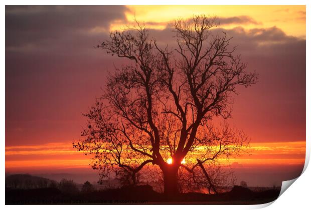 Cotswold sunrise Print by Simon Johnson