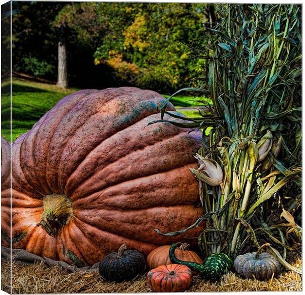 October Harvest Canvas Print by Chris Lord