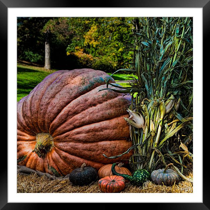 October Harvest Framed Mounted Print by Chris Lord