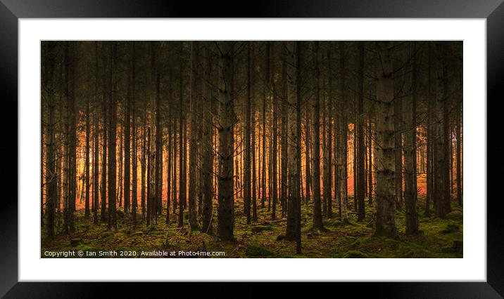 Autumn Fire Framed Mounted Print by Ian Smith