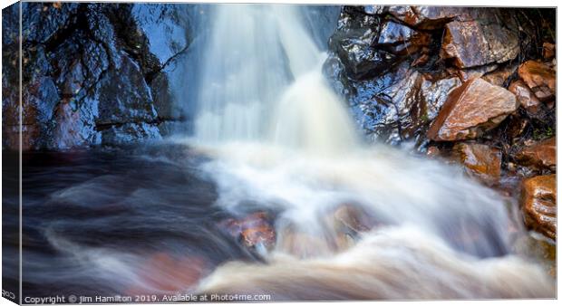 The beauty of Nature Canvas Print by jim Hamilton