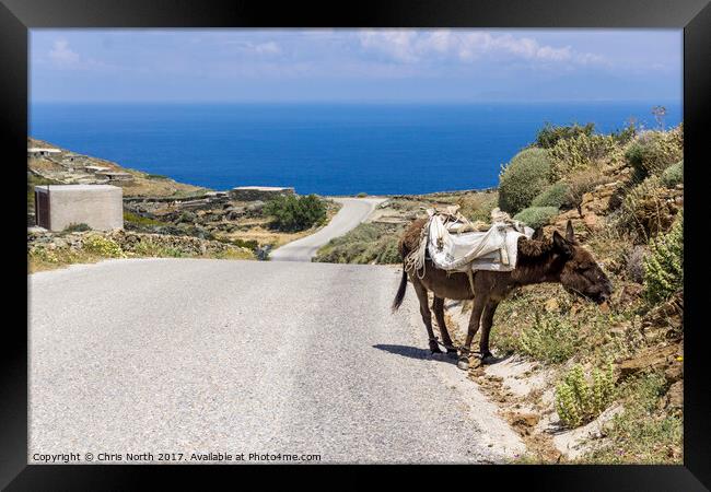 Roadside lunch. Framed Print by Chris North