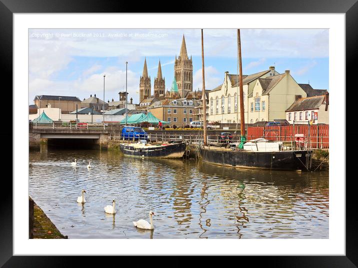 Swans and Cathedral Spires in Truro Framed Mounted Print by Pearl Bucknall
