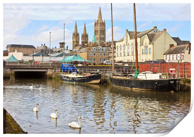 Swans and Cathedral Spires in Truro Print by Pearl Bucknall