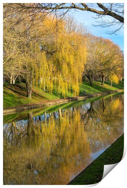 Canal Reflections Print by David Hare