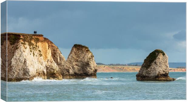 Together at Freshwater Bay Canvas Print by Wendy Williams CPAGB