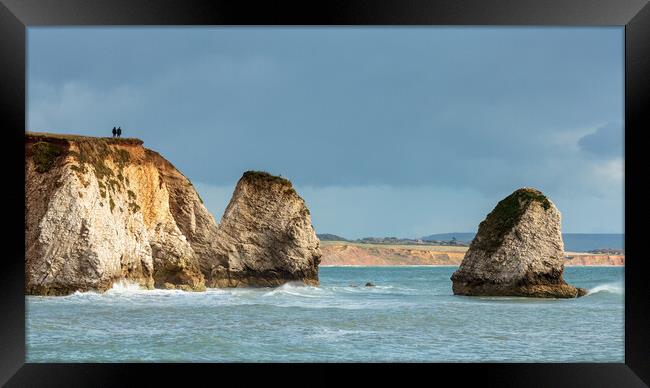 Together at Freshwater Bay Framed Print by Wendy Williams CPAGB