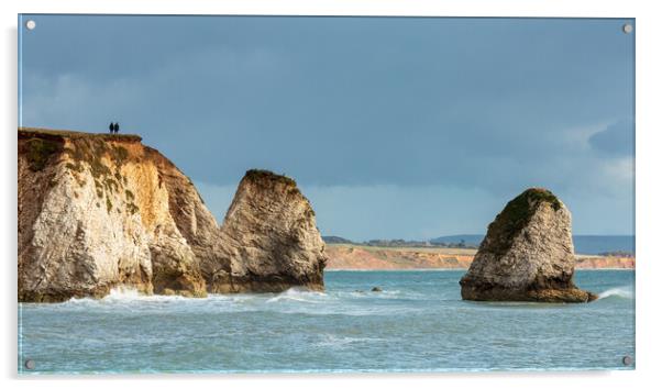 Together at Freshwater Bay Acrylic by Wendy Williams CPAGB