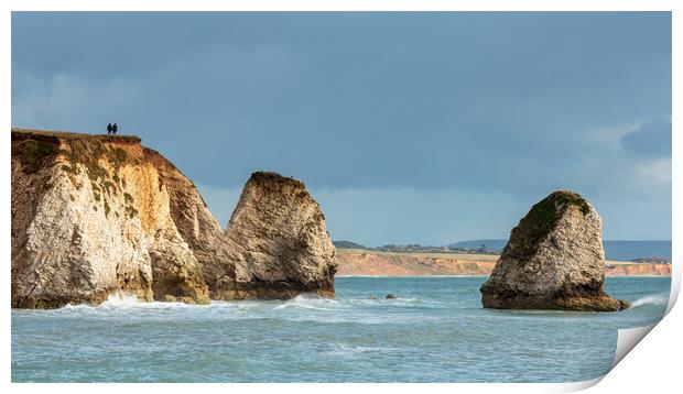 Together at Freshwater Bay Print by Wendy Williams CPAGB