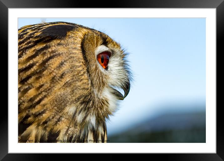 Owlfred Framed Mounted Print by Christopher Kelly