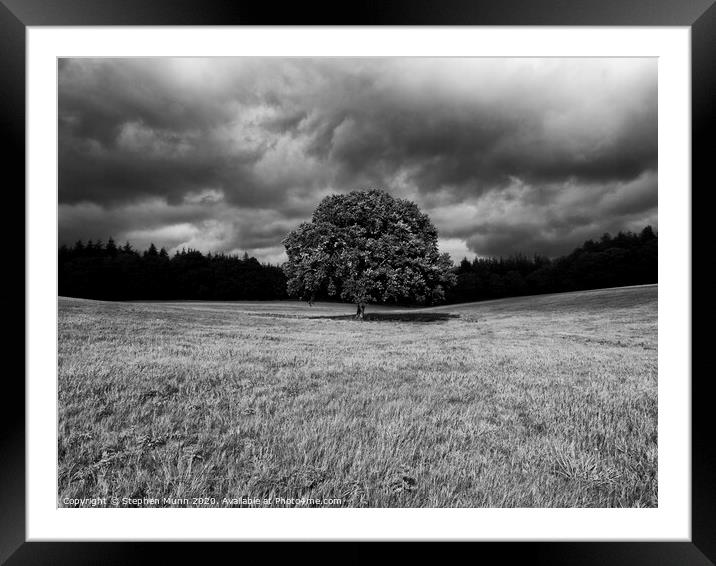 Black and While Lone tree with storm building Framed Mounted Print by Stephen Munn