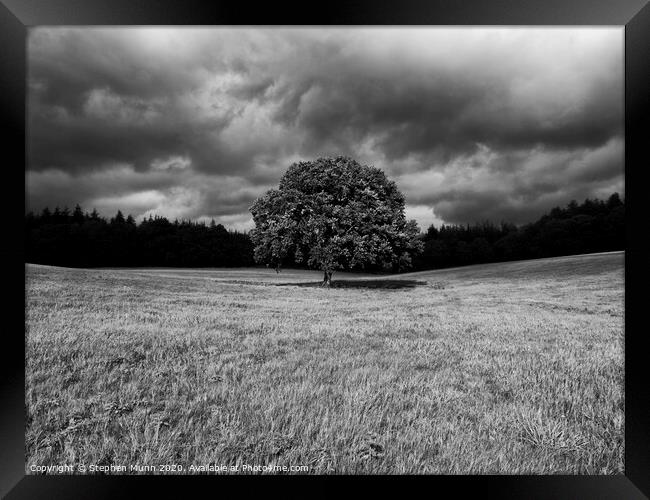 Black and While Lone tree with storm building Framed Print by Stephen Munn