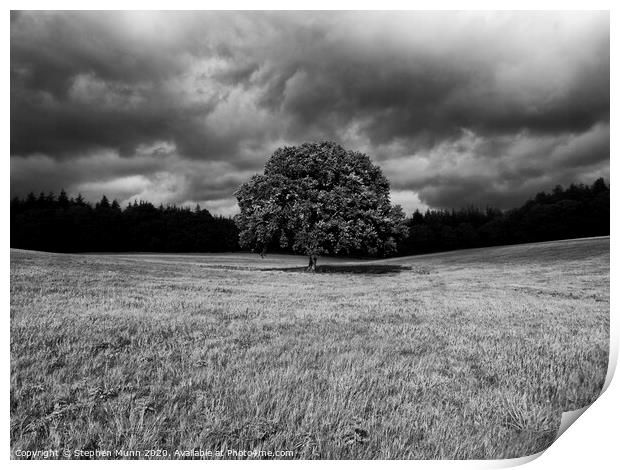 Black and While Lone tree with storm building Print by Stephen Munn