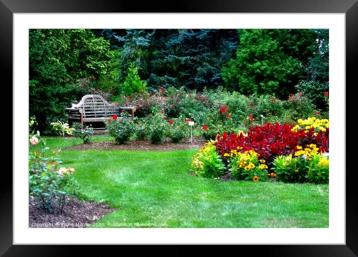 Afternoon in the Garden Framed Mounted Print by Elaine Manley