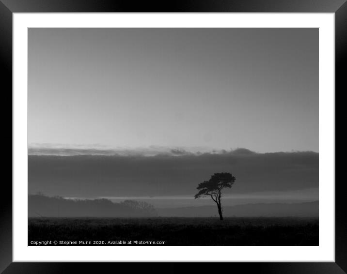 Lone tree at sunrise on the New Forest Framed Mounted Print by Stephen Munn