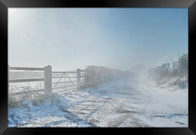 Snowy winds, Horsedowns, Cornwall Framed Print by Rika Hodgson