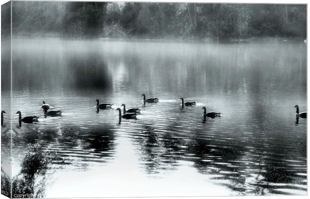 The Silver Pond...monochrome Canvas Print by Elaine Manley