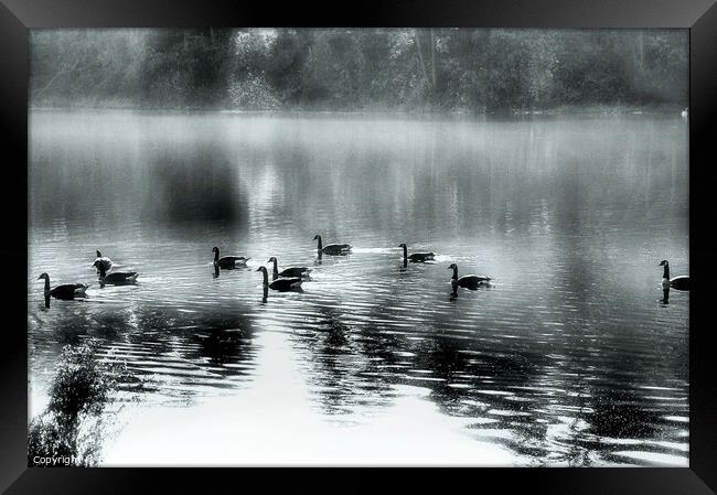 The Silver Pond...monochrome Framed Print by Elaine Manley