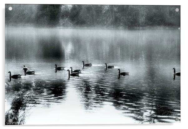 The Silver Pond...monochrome Acrylic by Elaine Manley
