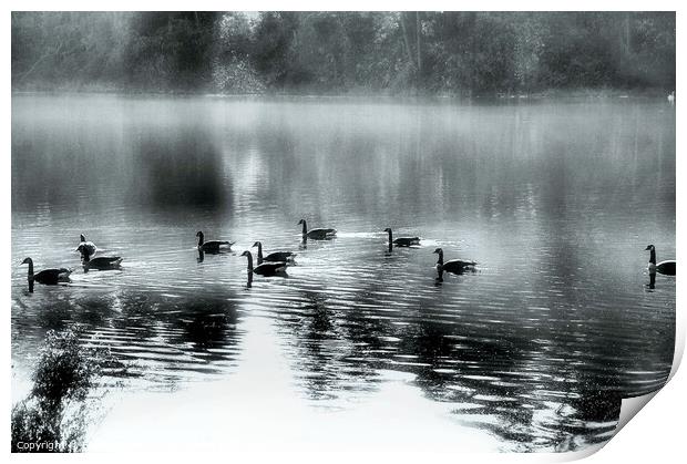 The Silver Pond...monochrome Print by Elaine Manley