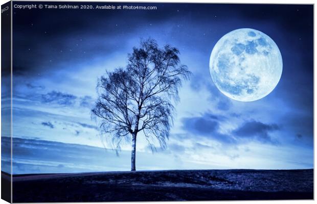 Once in a Blue Moon  Canvas Print by Taina Sohlman