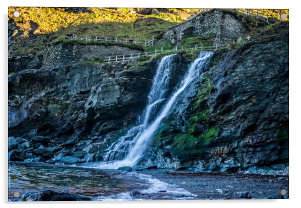 Tintagel Waterfall Acrylic by David Wilkins