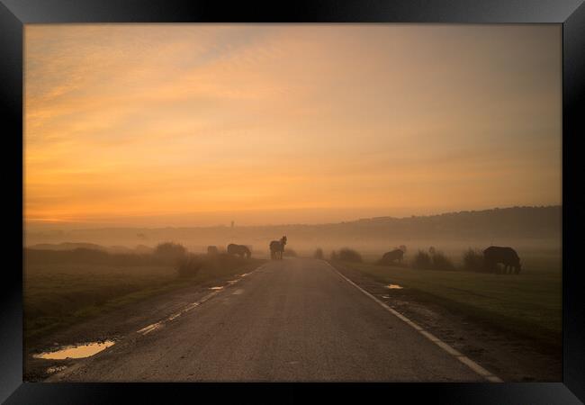 Devon road block at Northam Burrows Framed Print by Tony Twyman