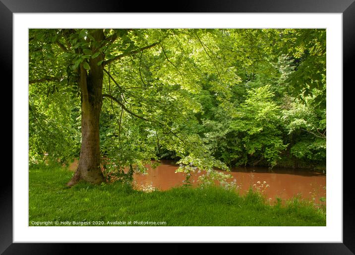 River, Eden, Appleby Cumbria  Framed Mounted Print by Holly Burgess