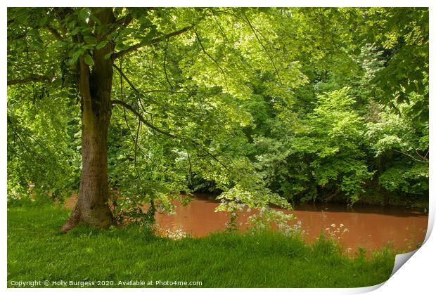 River, Eden, Appleby Cumbria  Print by Holly Burgess
