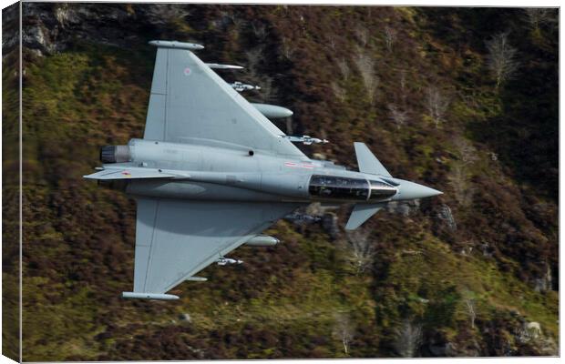 RAF Typhoon through the Cad gap Canvas Print by Rory Trappe
