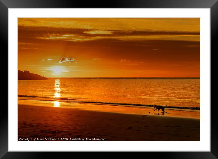 Dog Playing on Beach at Sunset Framed Mounted Print by Mark Brinkworth