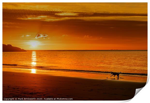Dog Playing on Beach at Sunset Print by Mark Brinkworth