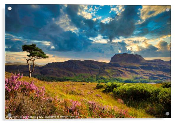 lone tree at Loch Maree. Acrylic by Scotland's Scenery