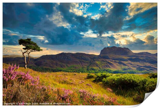 lone tree at Loch Maree. Print by Scotland's Scenery