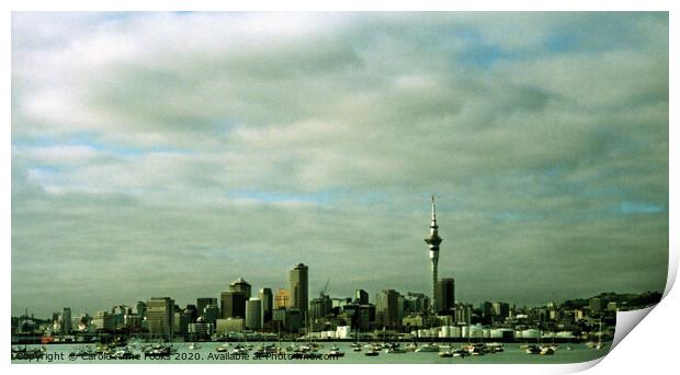Auckland, New Zealand Print by Carole-Anne Fooks