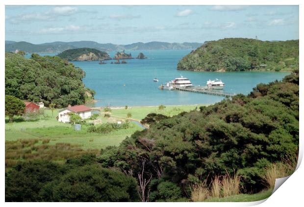 Bay of Islands, New Zealand Print by Carole-Anne Fooks