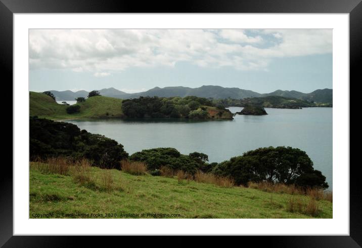 Bay of Islands, New Zealand Framed Mounted Print by Carole-Anne Fooks