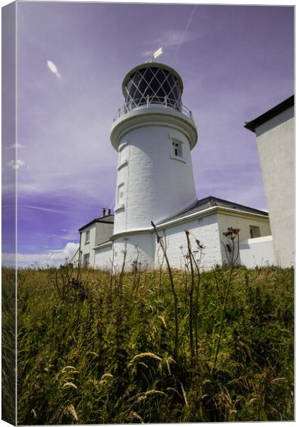 Caldey Island Lighthouse - Pembrokeshire Canvas Print by Paddy Art
