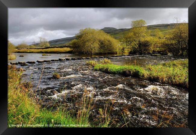 River Doe Stepping stones Yorkshire Dales Framed Print by Diana Mower
