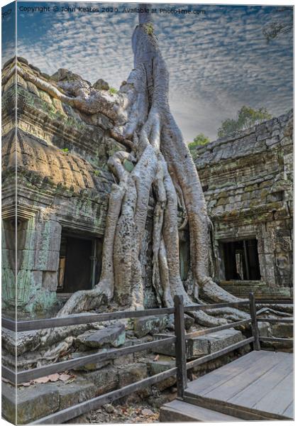 Tree roots at Ta Prohm temple Cambodia  Canvas Print by John Keates