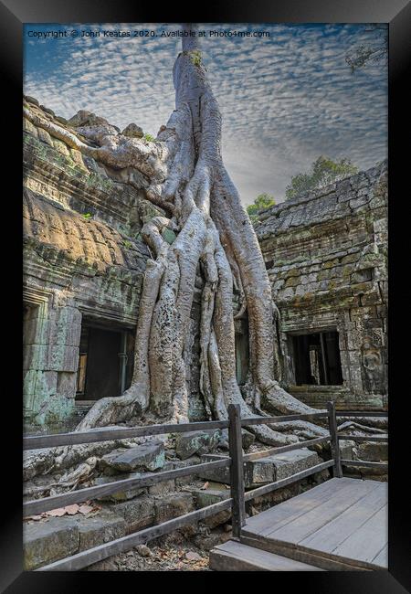 Tree roots at Ta Prohm temple Cambodia  Framed Print by John Keates