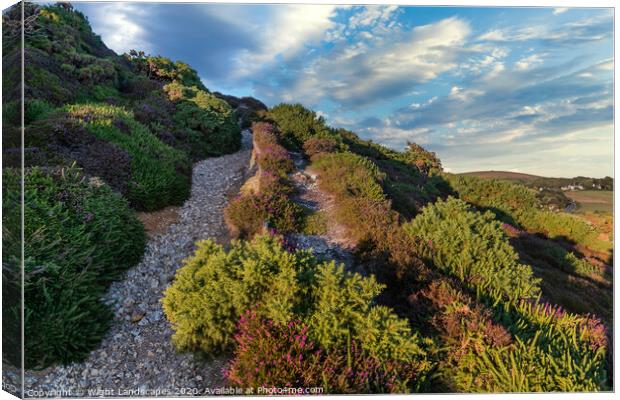 Headon Hill Heather Canvas Print by Wight Landscapes