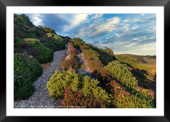 Headon Hill Heather Framed Mounted Print by Wight Landscapes